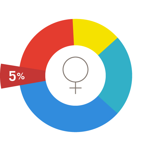 A pie chart representing all women of reproductive age, with a dark red 5% wedge emphasized.