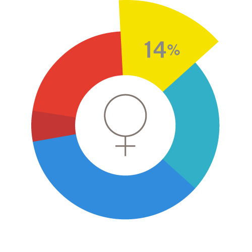 A pie chart representing all women of reproductive age, with a yellow 14% wedge emphasized.
