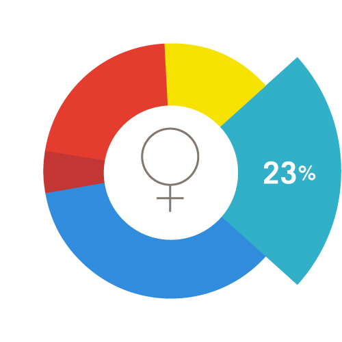 A pie chart representing all women of reproductive age, with a turquoise green 23% wedge emphasized.