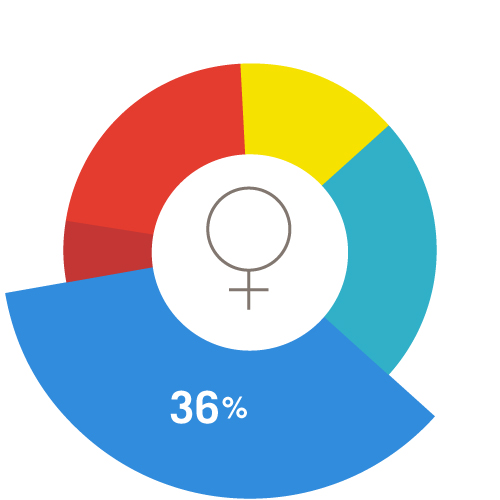 A pie chart representing all women of reproductive age, with a cornflower blue 36% wedge emphasized.